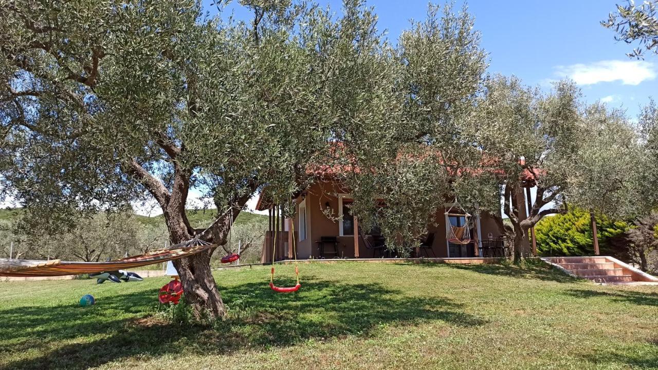 فيلا Casa Dikella Mesimvria  المظهر الخارجي الصورة